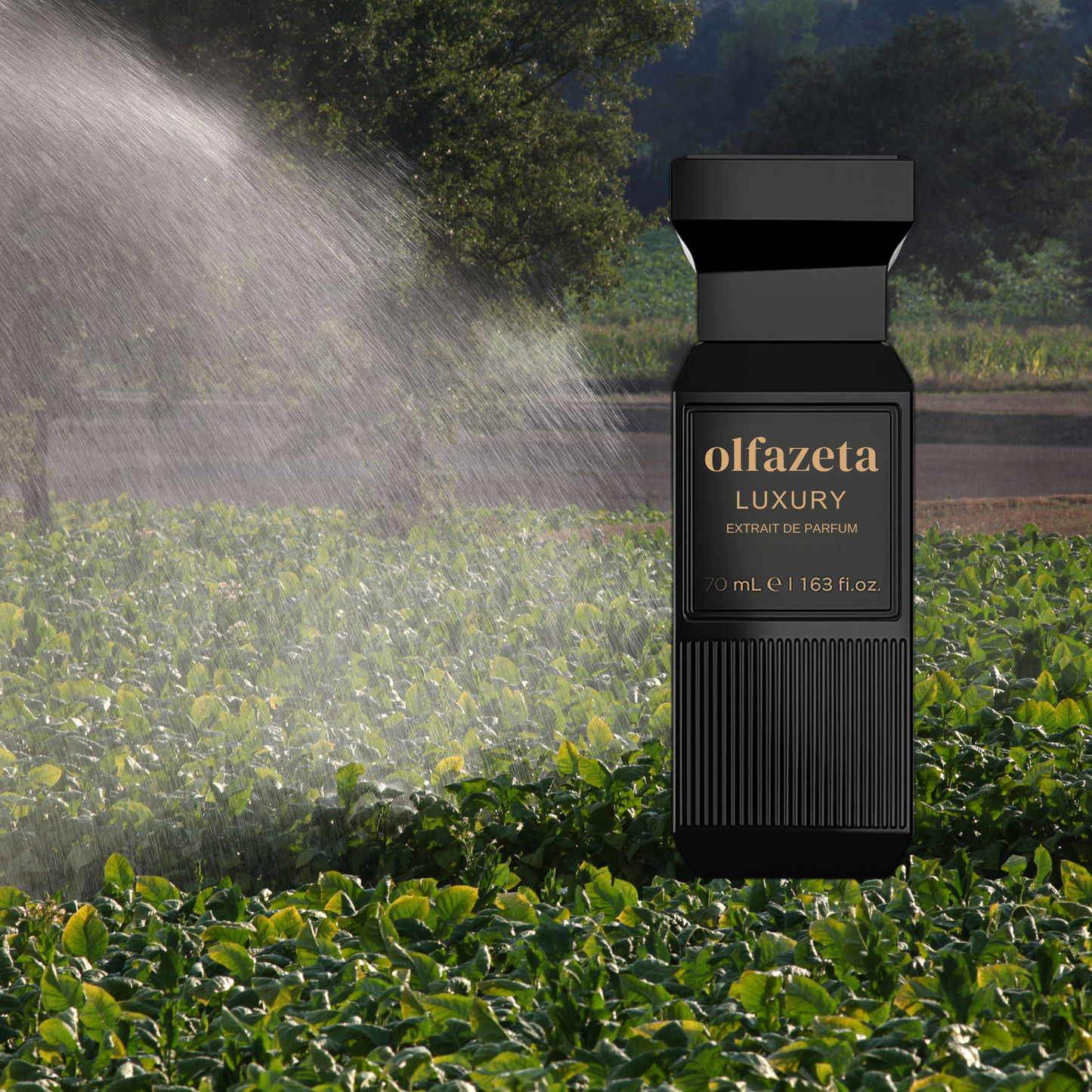 MEN'S PERFUME - 074 - Dupe Inspired by Black Afghano - Nasomatto - 30% essence