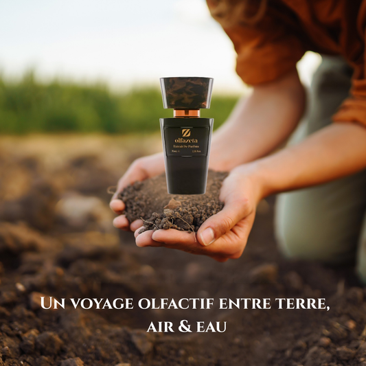 ELEMENTAL | Parfum Homme Frais Aromatique Boisé – Chogan N°022