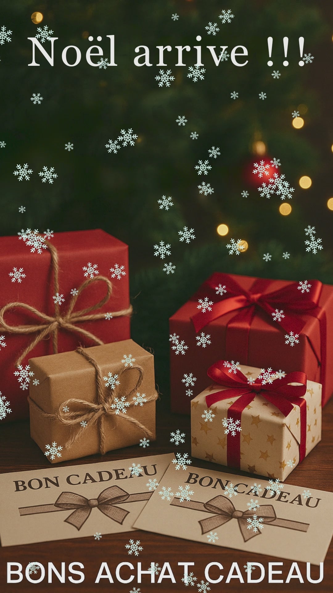 Charger la vidéo : 